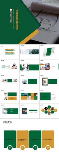 企业项目管理化总结ppt模板