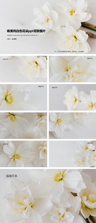唯美纯白色花朵背景图片ppt下载