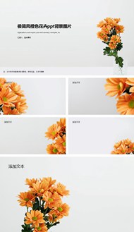 极简风橙色花卉背景图片ppt素材