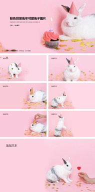 粉色背景兔年可爱兔子背景图片ppt下载