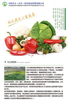 有机蔬菜展板PSD图片