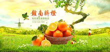 淘宝天猫绿色有机水果赣南脐橙子宣传海报psd图片