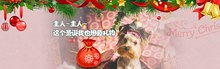淘宝天猫圣诞节可爱宠物用品店铺创意海报psd下载