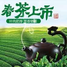 淘宝天猫2017新茶叶春茶上市主图模板psd免费下载