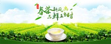 淘宝天猫品牌茶叶春茶新品上市海报psd免费下载