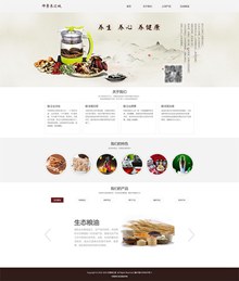 中国风养生用品企业网站模板psd分层素材
