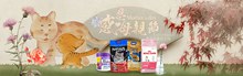 淘宝母亲节猫粮专场海报分层素材