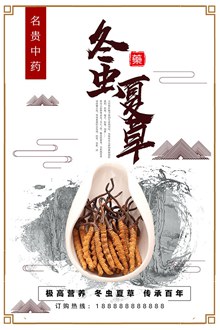 中国风中药文化冬虫夏草促销海报设计psd素材