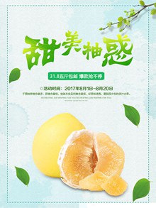 秋季水果柚子促销海报psd图片