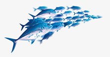 海底动物模糊卡通鱼群分层素材