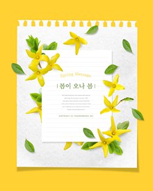 黄色春季花朵海报模板psd免费下载