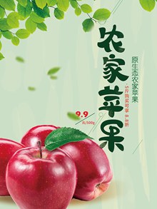 清新农家苹果促销活动海报psd设计psd图片
