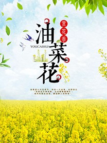 油菜花节春季旅游宣传海报psd设计分层素材