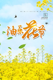 油菜花节春游海报psd素材