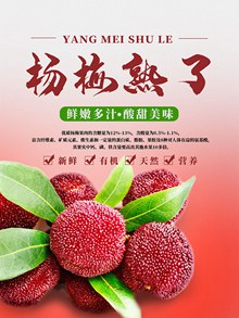 新鲜杨梅水果宣传海报psd分层素材