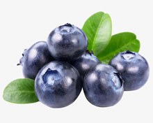 新鲜的水果蓝莓分层素材