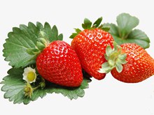 新鲜水果草莓psd下载