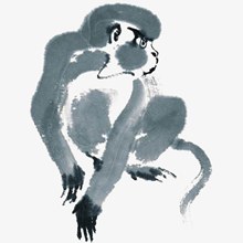 中国风水墨画猴子PNG分层素材
