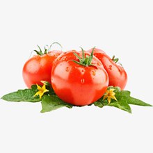 新鲜的西红柿分层素材