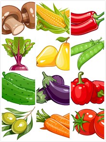 时尚卡通蔬菜矢量图片
