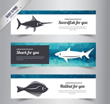 海洋鱼类banner矢量图片