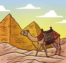 金字塔和骆驼矢量图片