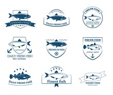 新鲜鱼类标签矢量图片