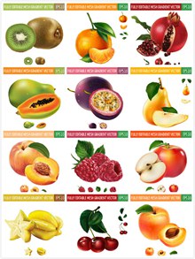 水果素材矢量图片