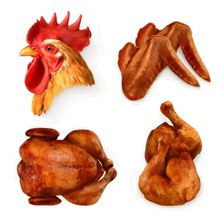 鸡头和烤鸡矢量图