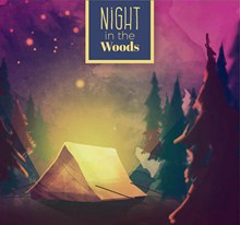 森林中的夜晚露营风景矢量图片