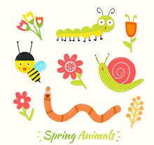 春季花朵和昆虫矢量