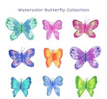 水彩绘蝴蝶设计矢量图下载