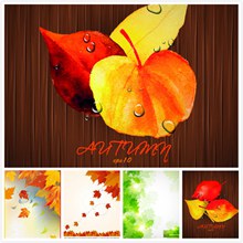 秋天泛黄树叶背景主题矢量图片