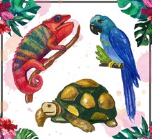 水彩绘热带动物矢量图