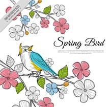 创意春季花枝上的彩色小鸟矢量