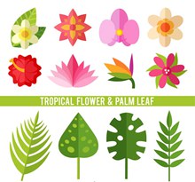 热带植物花卉和棕榈叶矢量图片