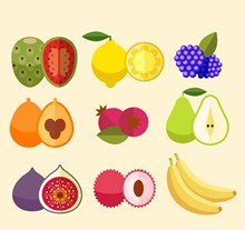彩色水果和切面设计矢量图