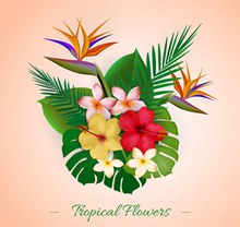 热带植物花卉花束矢量素材