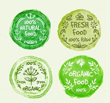绿色水彩绘有机食物徽章矢量图片