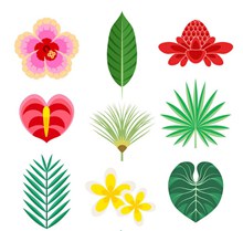 彩色热带花卉和叶子矢量图下载