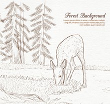 手绘森林中食草的鹿矢量图