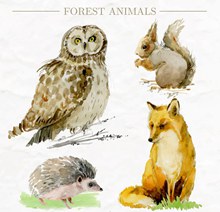 生动彩绘森林动物矢量图