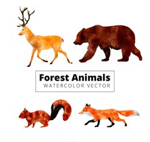 4款水彩绘动感森林动物图矢量图下载