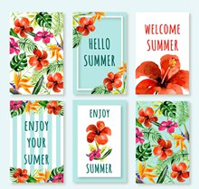 6款夏季热带花卉卡片图矢量图