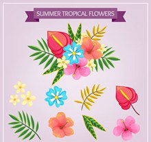 9款热带花卉和叶子矢量图片