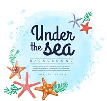 彩绘海底海草和海星矢量图片