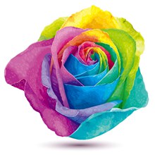 水彩画创意色彩玫瑰矢量素材