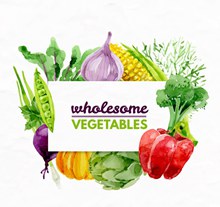 多种水彩绘健康蔬菜矢量图片