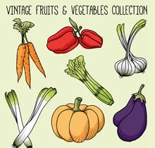7款彩绘蔬菜设计矢量图下载