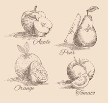 4款手绘水果与蔬菜切片设计矢量图